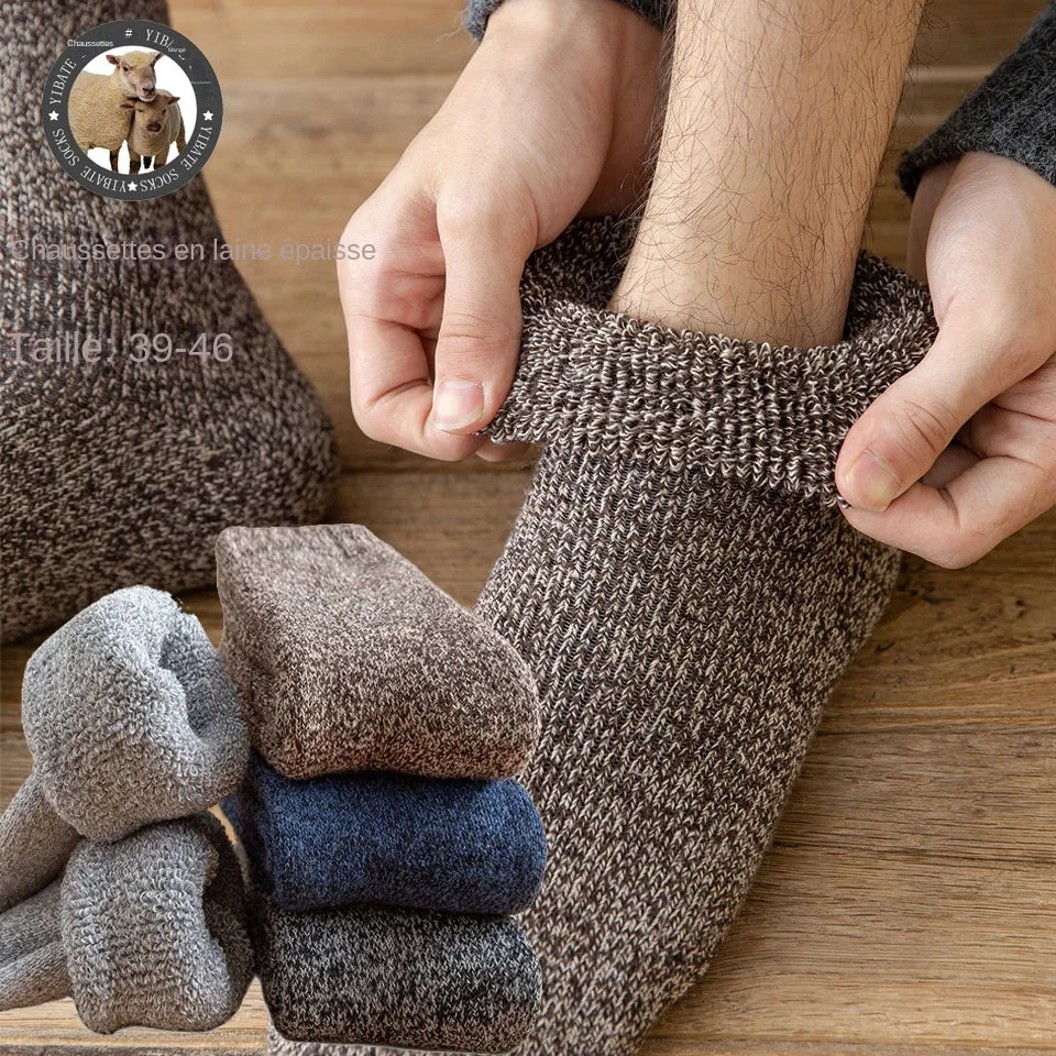 ‘‘Calor Alpine’’ - Lot de 3 Paires de Chaussettes en Laine Mérinos pour Homme, Épaisses et Confortables